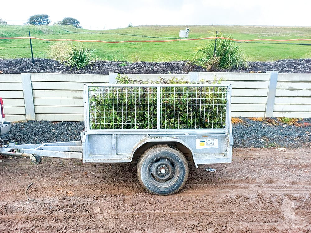 Fee-free green waste disposal coming up post image