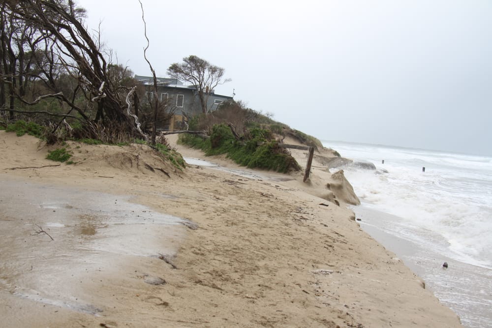 State government failures exposed in minority report on climate action post image