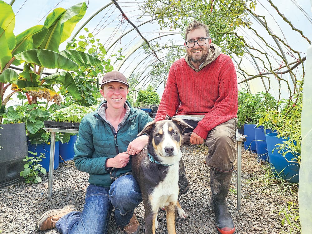 Tarwin producers facing unprecedented challenges post image