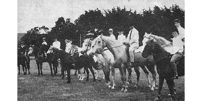 Celebrating 60 years of Corner Inlet Pony Club post image