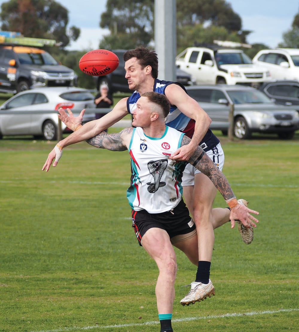 Panthers rattle the Cobras post image