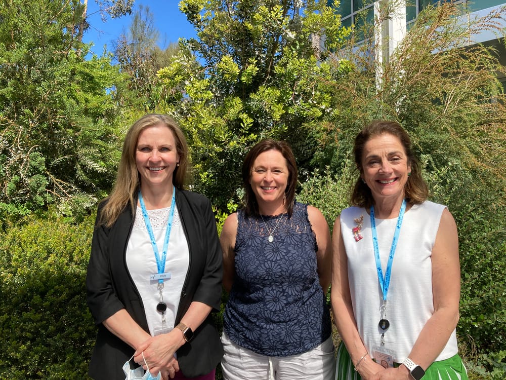 New CEO for GSHS post image