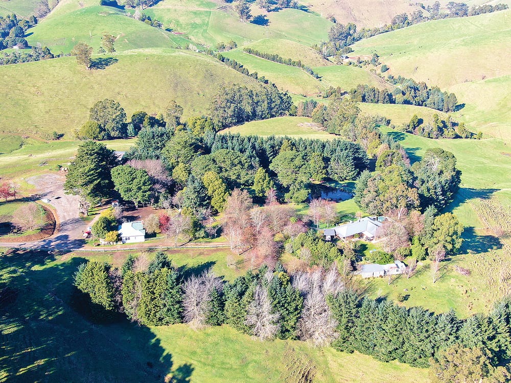 ‘Woodlands’ - Seaview post image