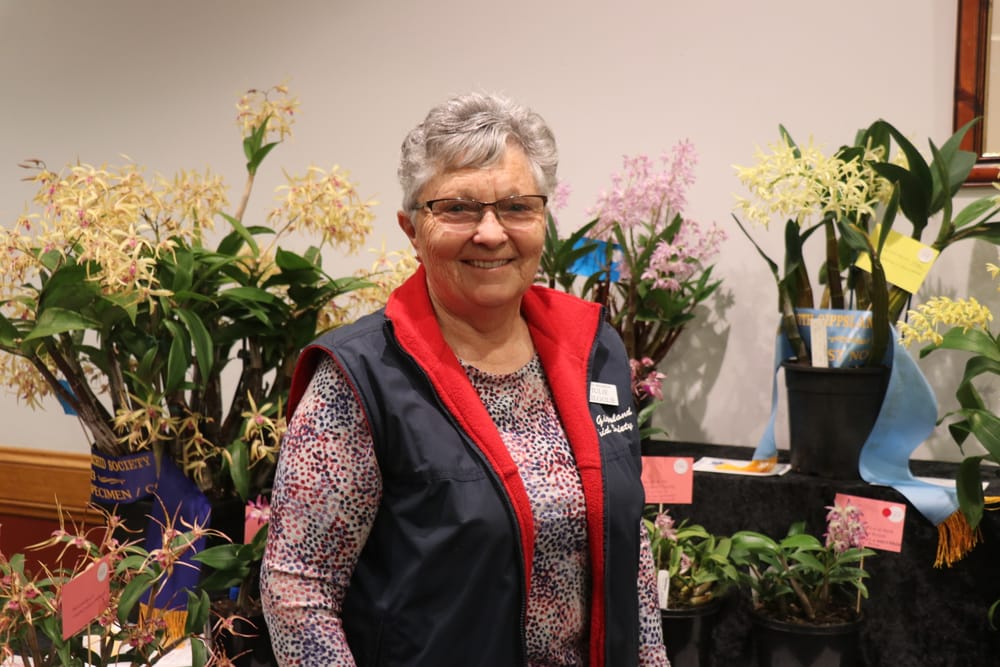 South Gippsland Orchid Society presents the 33rd annual orchid show post image