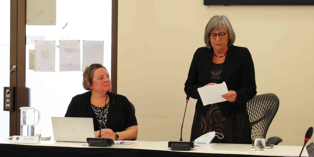 Council a 'united front' says Cr Davies post image