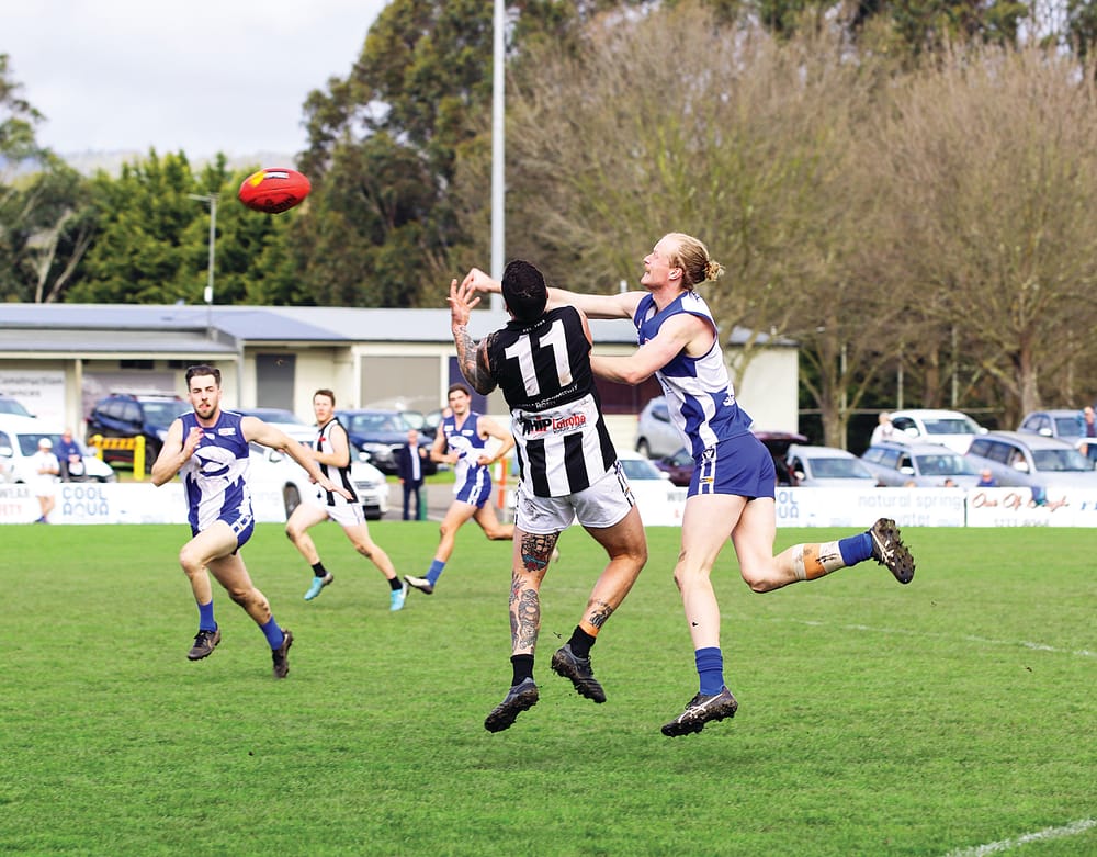 Mighty Sharks go down to Magpies post image