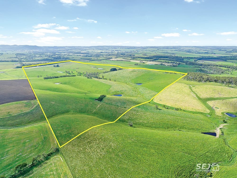 Productive grazing with big views post image