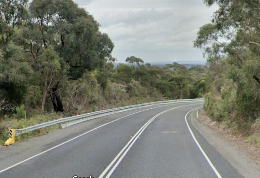 Snake bites snake? You be the judge post image