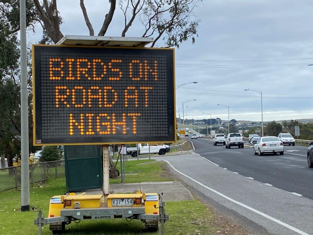 Big weather event this weekend for Shearwaters post image