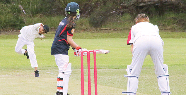 Girls’ cricket gets go ahead by LDCA post image