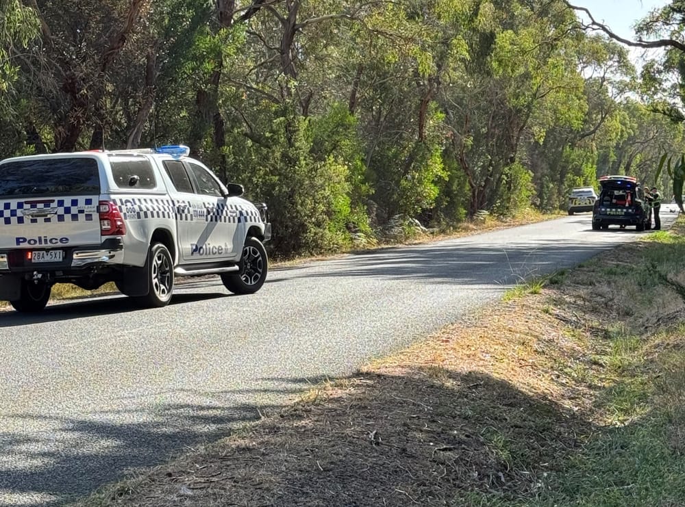 Driver so drunk he didn’t know he’d hit someone post image