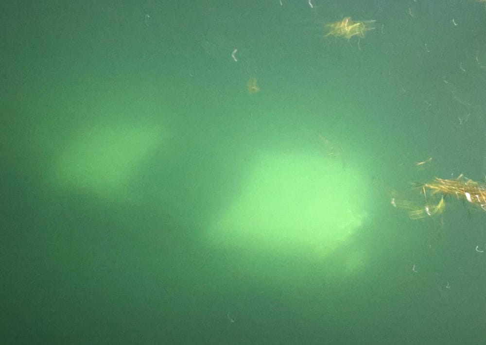 Rhyll Boat Ramp closed after car became fully submerged in boating mishap post image