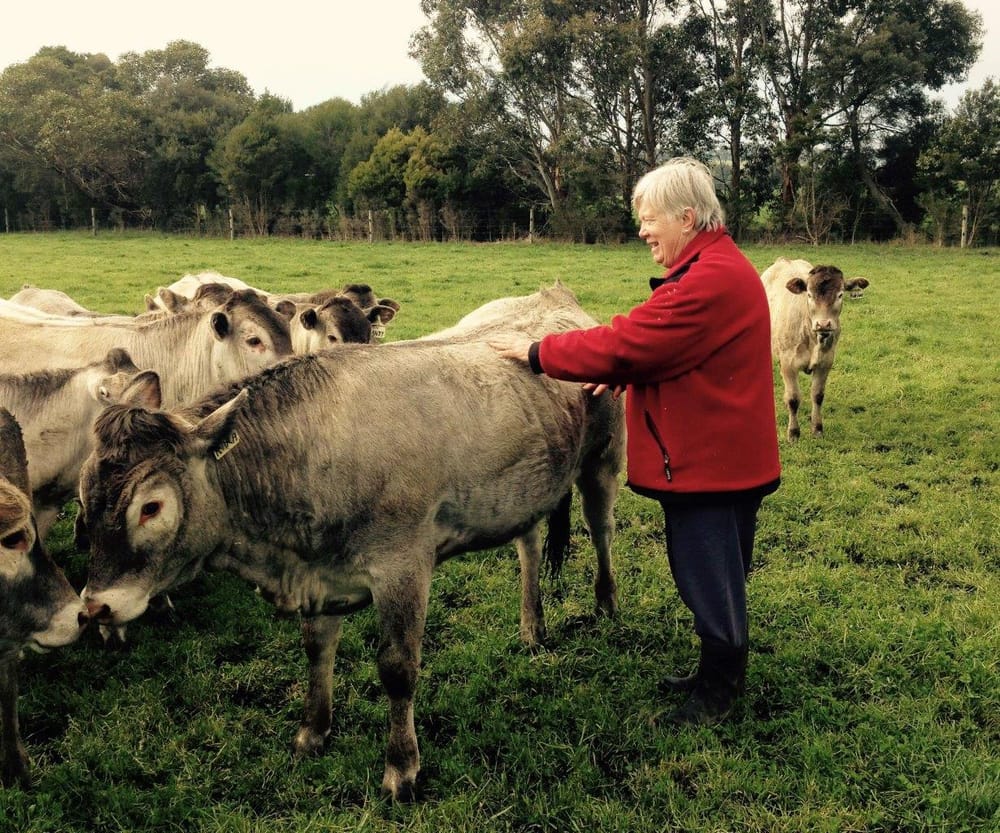 Hands off Bass Coast farming: DAL panel told post image