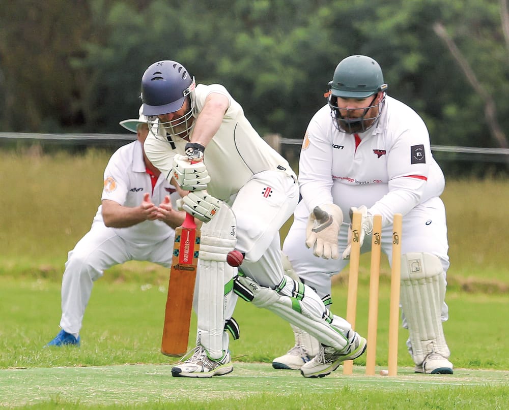 Stingrays strangle Sharks on the road post image