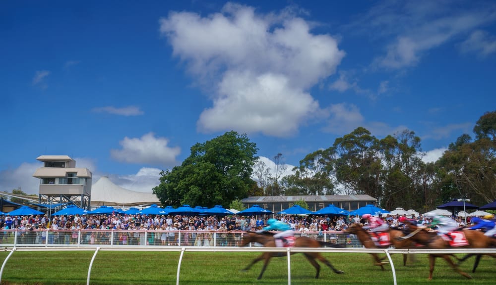 Pink theme for Tuesday January 3 Stony Creek races post image