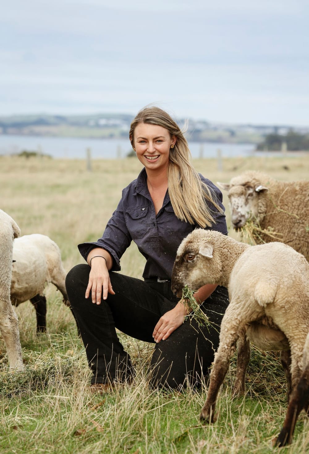 Shearing at the Olympics? post image