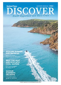 Discover - Summer 2023/24 post image