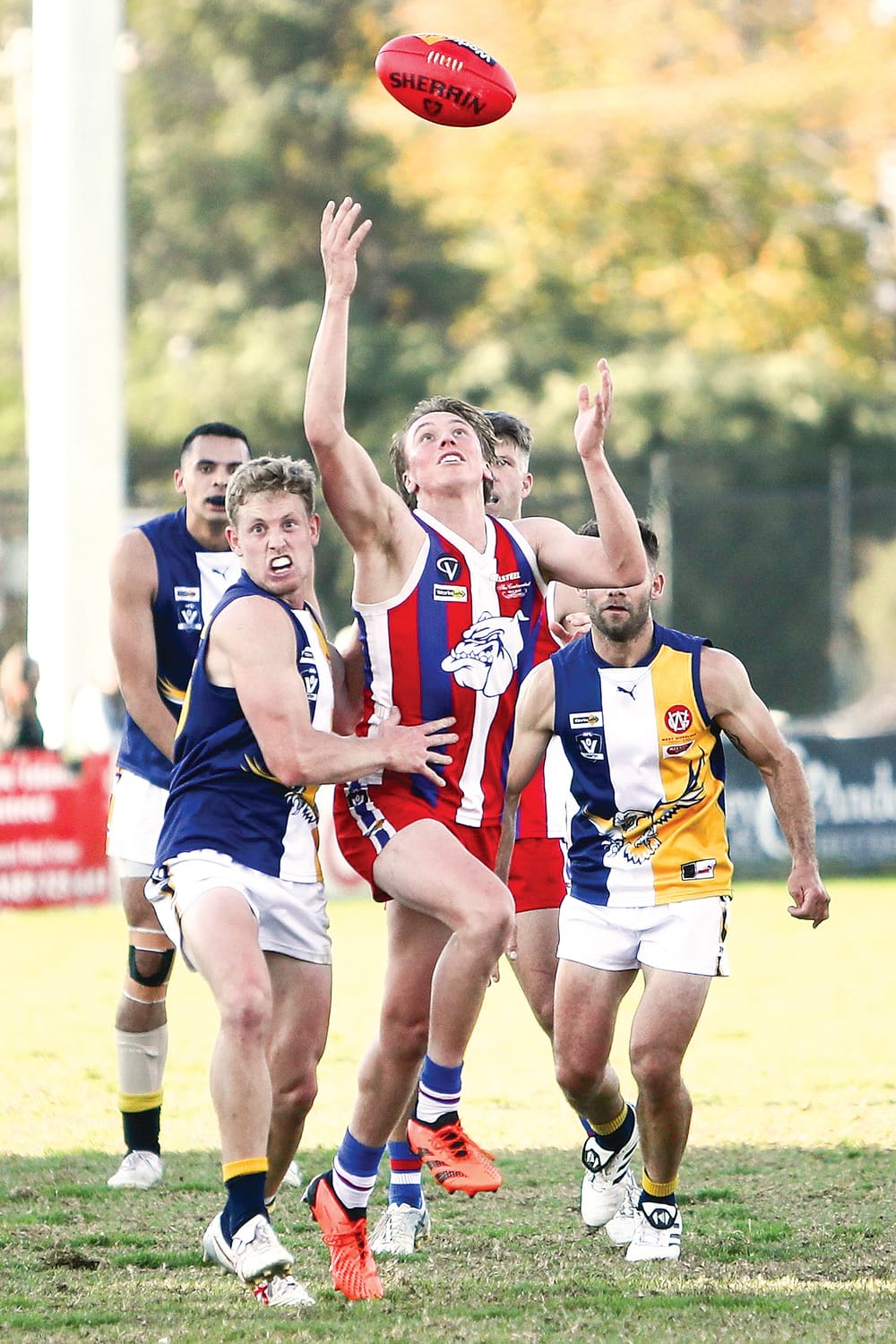 Phillip Island overwhelms Inverloch in thrilling upset post image