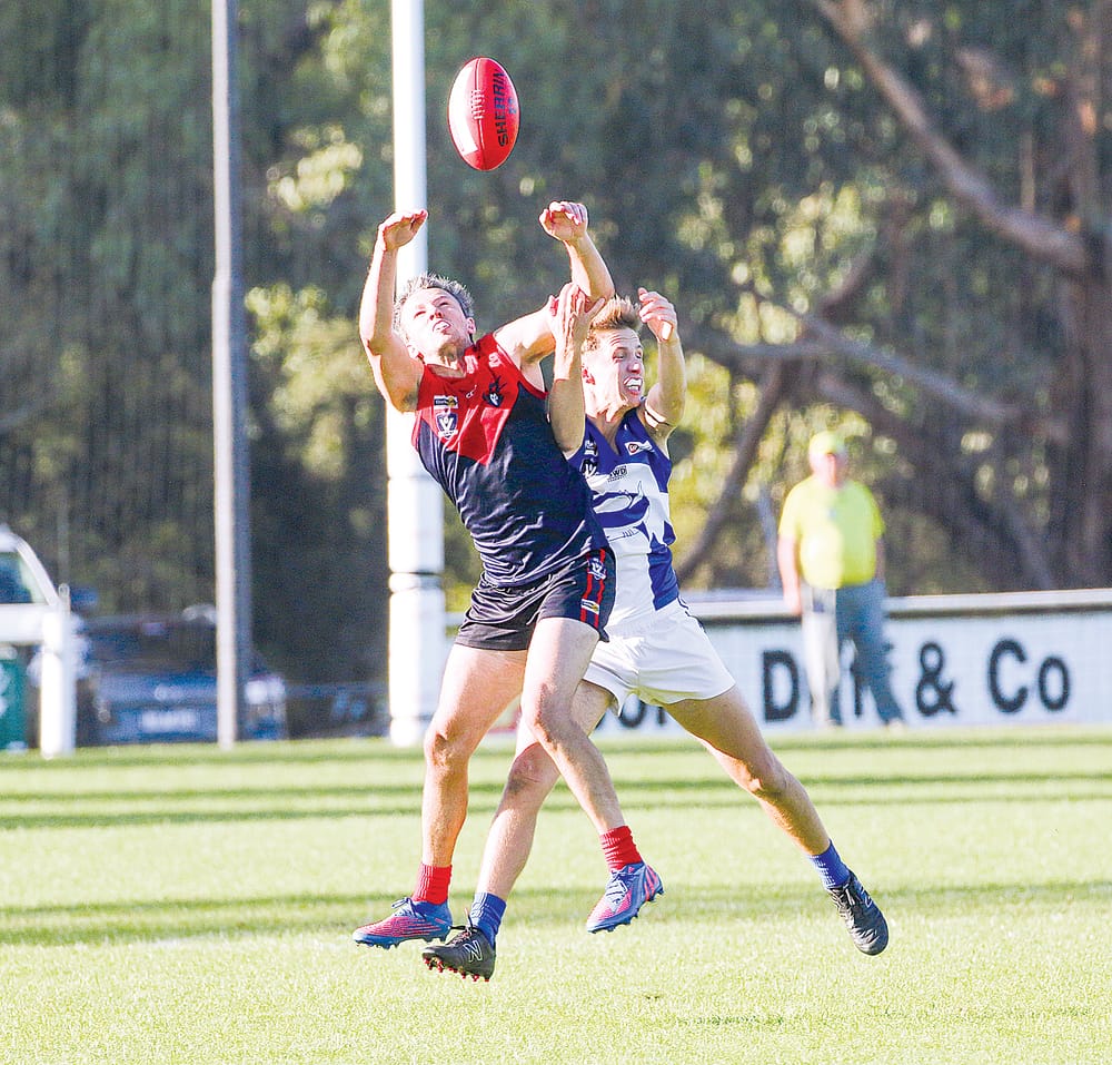 Demons bounce back to winners list post image