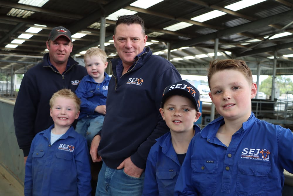 Cattle price concerns in Koonwarra post image