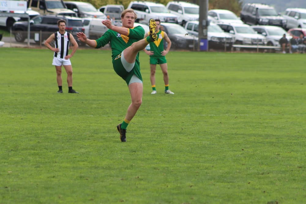 Ten out of Ten Parrots post image