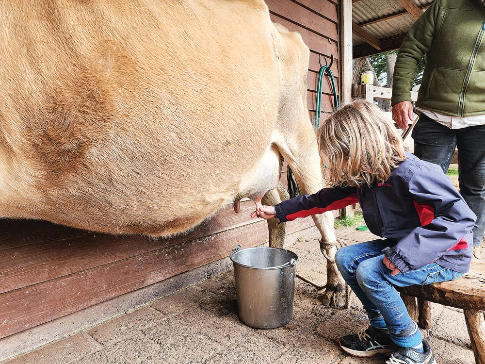 Come Along for Nature, Wildlife and Community! post image