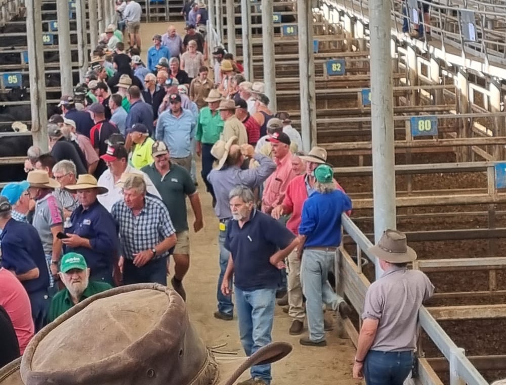 What a difference a year makes for Yarram stores post image