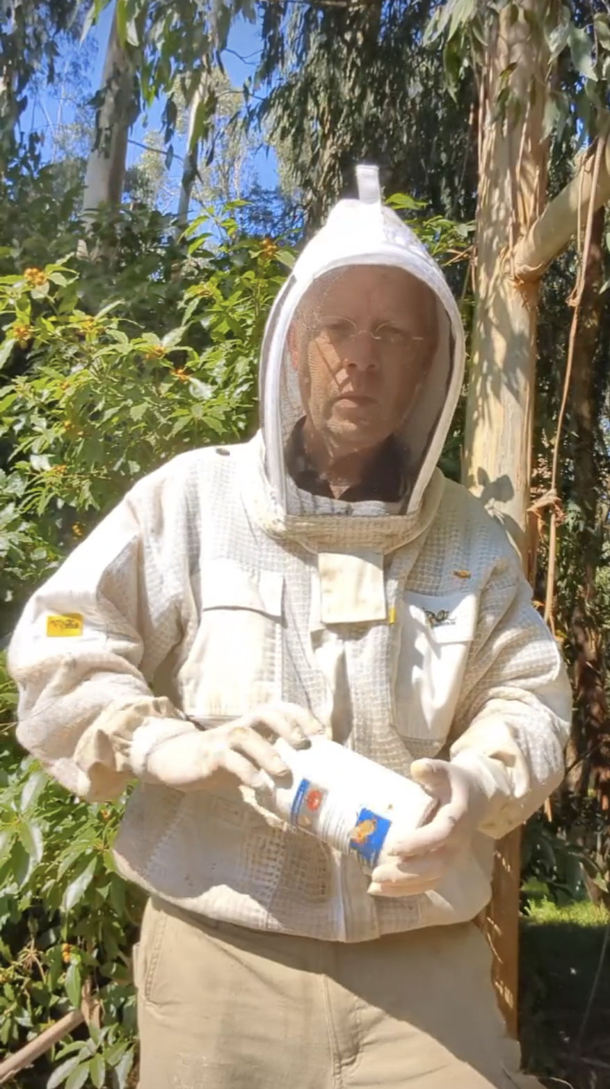 Varroa mite threat arrives in South Gippsland post image