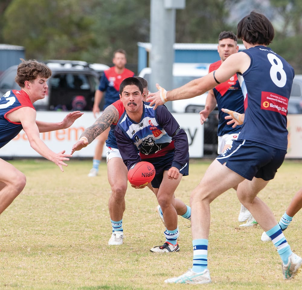 Panthers prevail in mid-table showdown post image