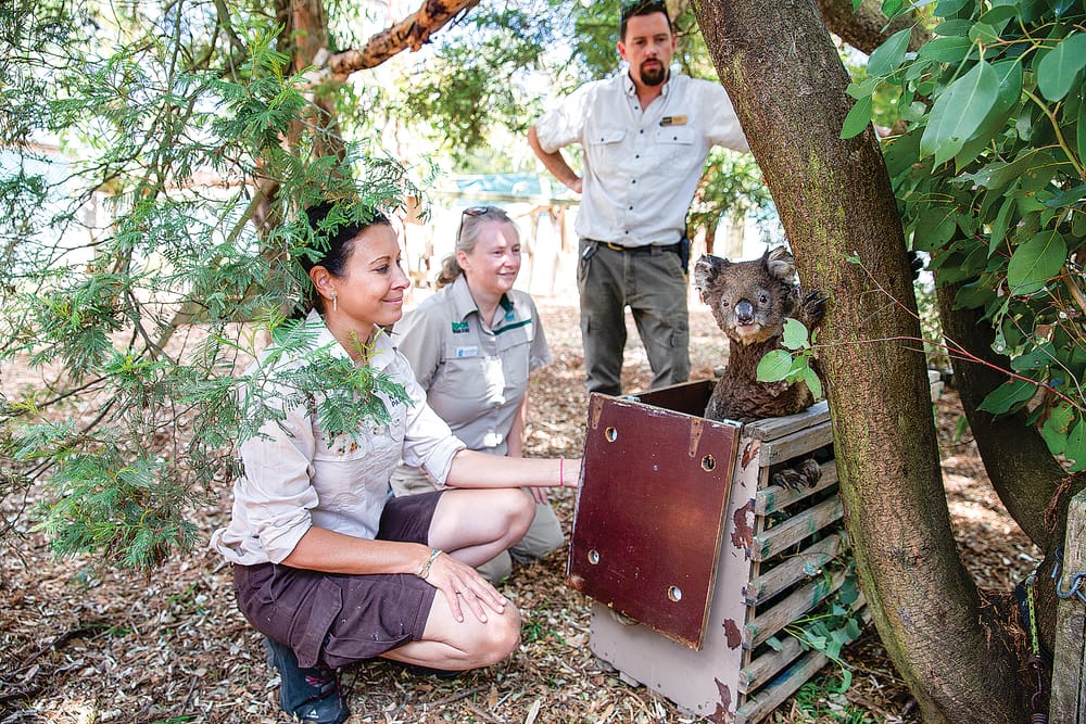 Once it’s gone, it’s gone forever post image