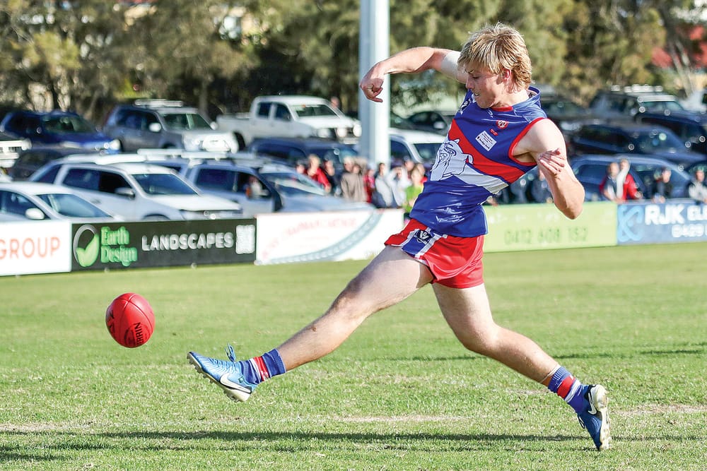 Bulldogs dominate over the Sea Eagles post image