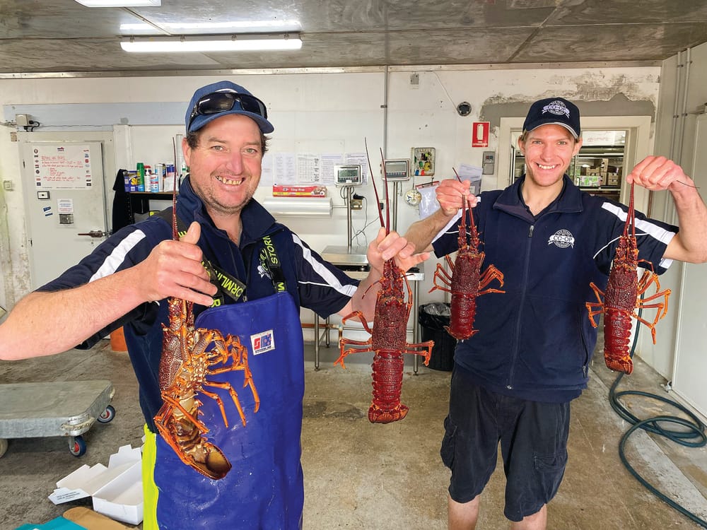 Lobster back on their menu, not ours! post image