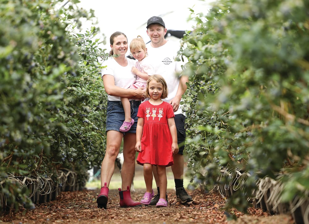 Helping Victorian businesses grow with grants of up to $500,000 post image