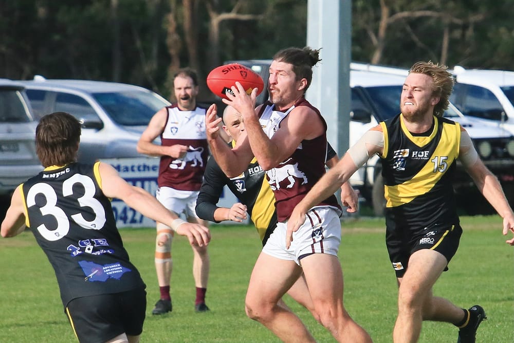 Tigers cling to a win post image