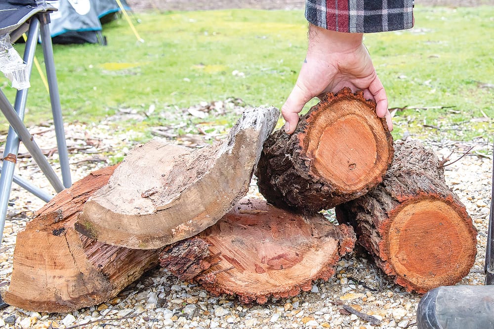 Spring firewood collection season opens in Gippsland post image