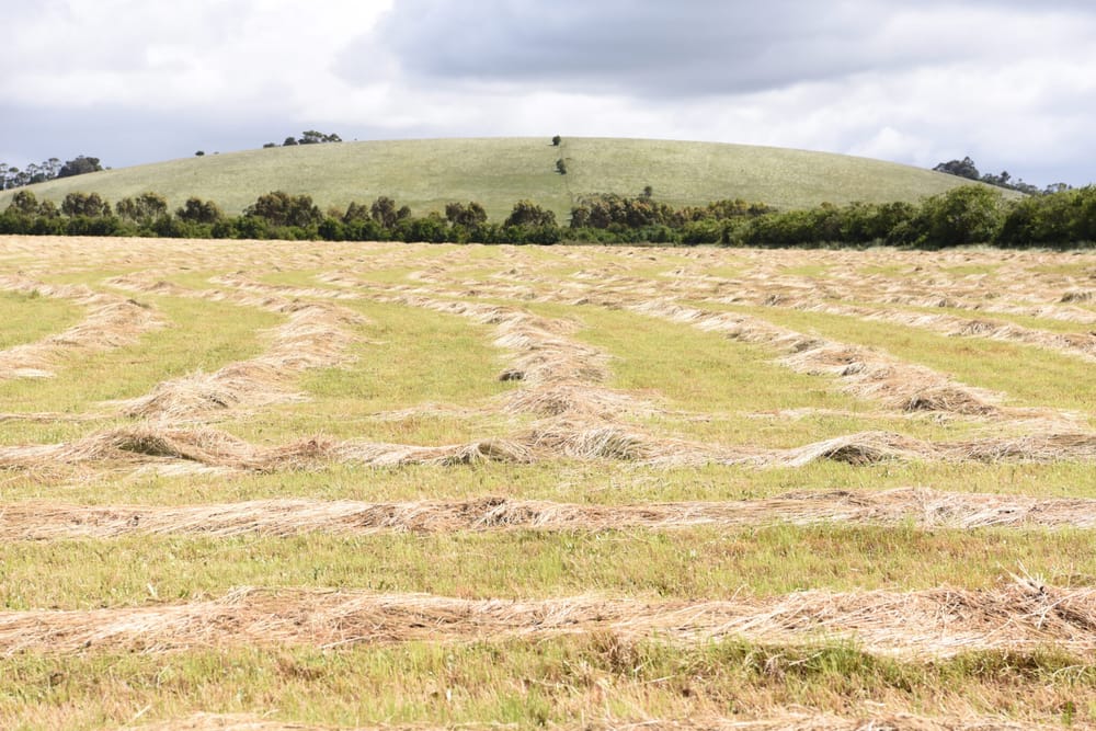 VPA said nothing about environmental audits for Wonthaggi post image