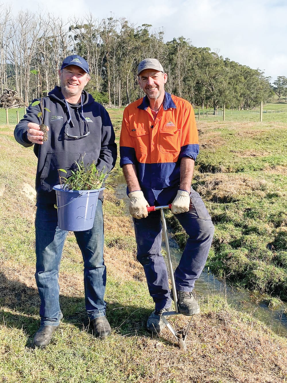 National Tree Day celebrated with special podcast post image