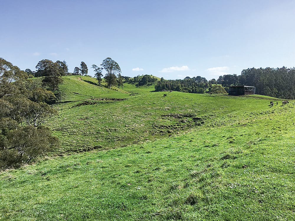 Landholders unite for reforestation carbon aggregation post image