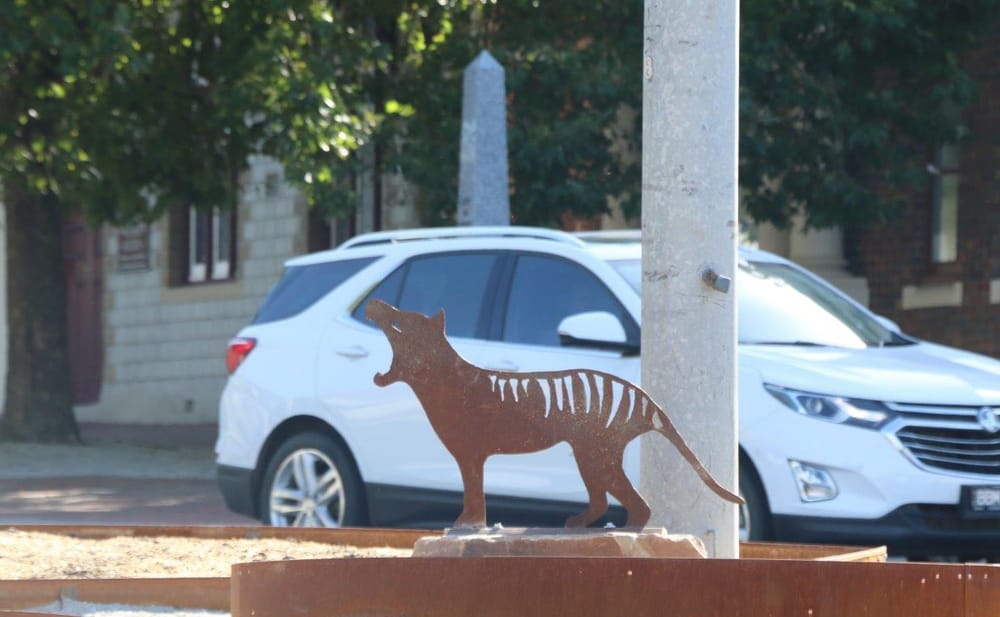Did you see a Tassie Tiger in Leongatha? post image