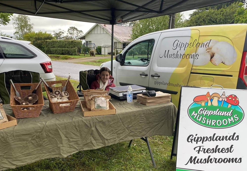 ‘Absolutely’ nothing wrong with our mushrooms, they say post image