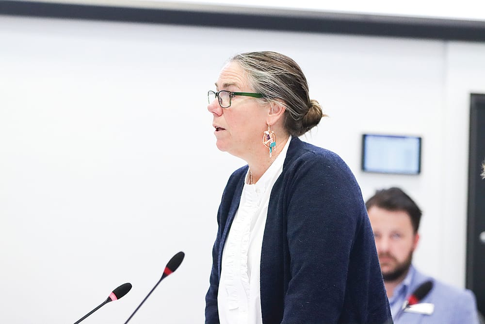 Councillors say it’s all take and no give with state’s new levy post image