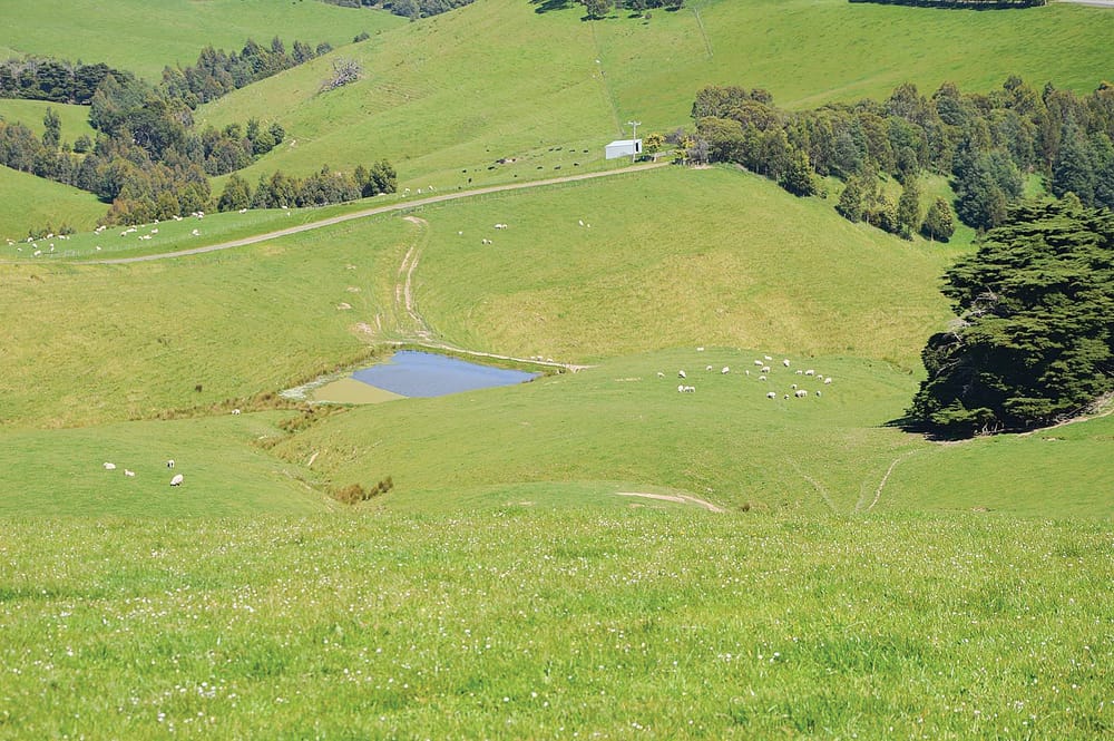 Breathtaking views on 305-acre grazing haven post image