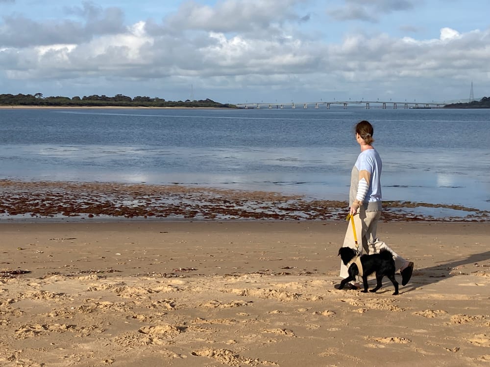 How Bass Coast has been dogged by secrecy post image