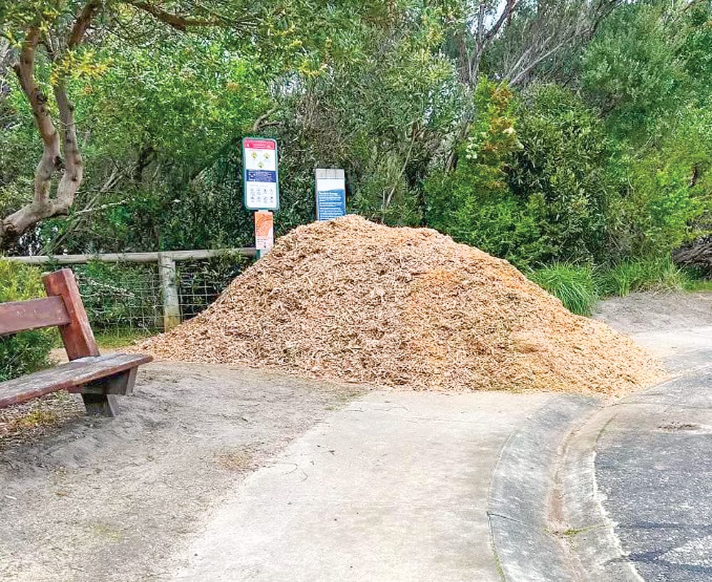 Why they’ve ‘bulldozed’ Cape Woolamai’s kids post image