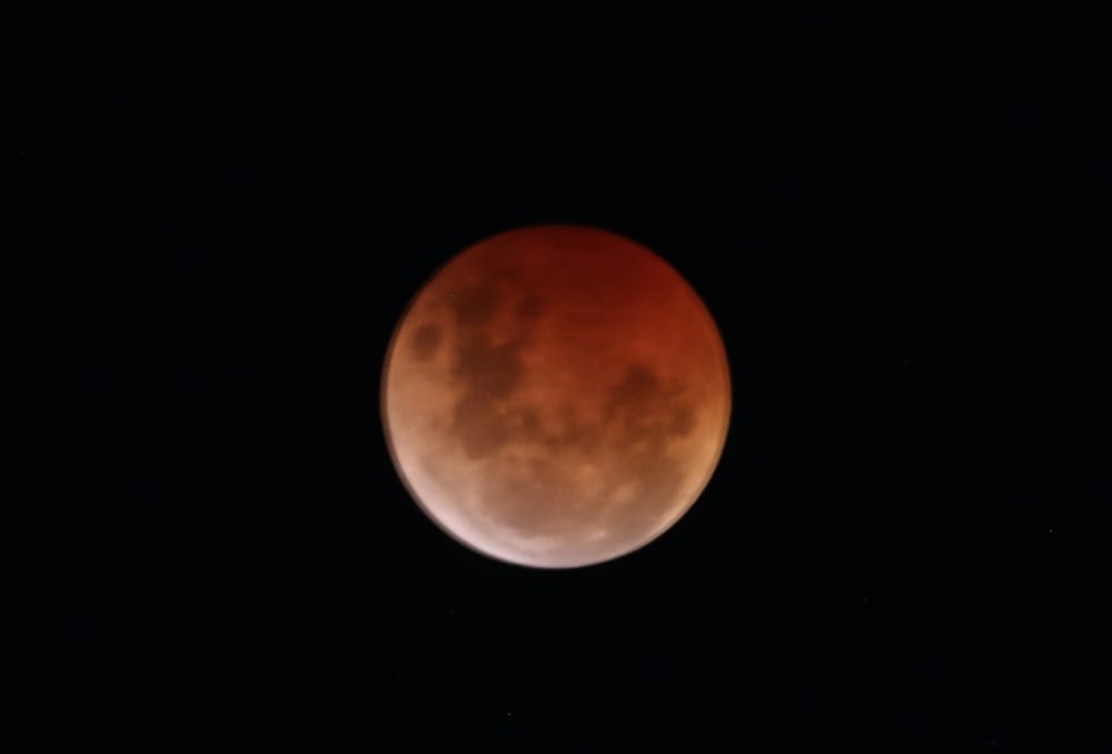 Bloody great show as moon eclipsed by earth's shadow post image