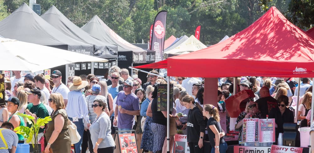 Meeniyan Garlic Festival called off post image