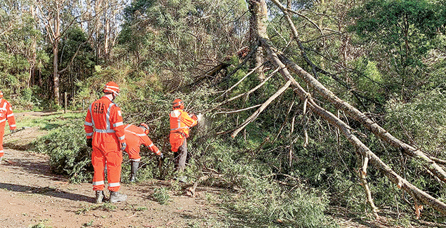 VICSES answers the storm call again post image