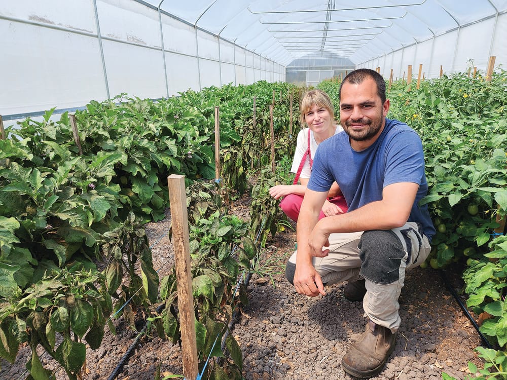Crop woes - Weather wreaking havoc on local farmers post image