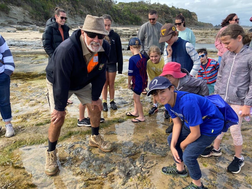 Dinosaur search ideal for cool Inverloch days post image