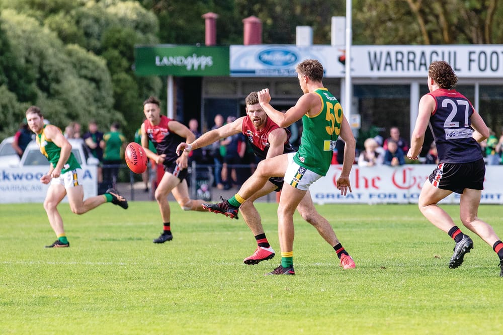 Parrots fly high after quarter time post image